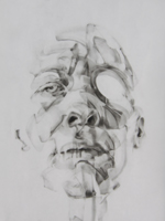 ECDYSIS 7. pencil on laser printer film.             30cm X 21cm.